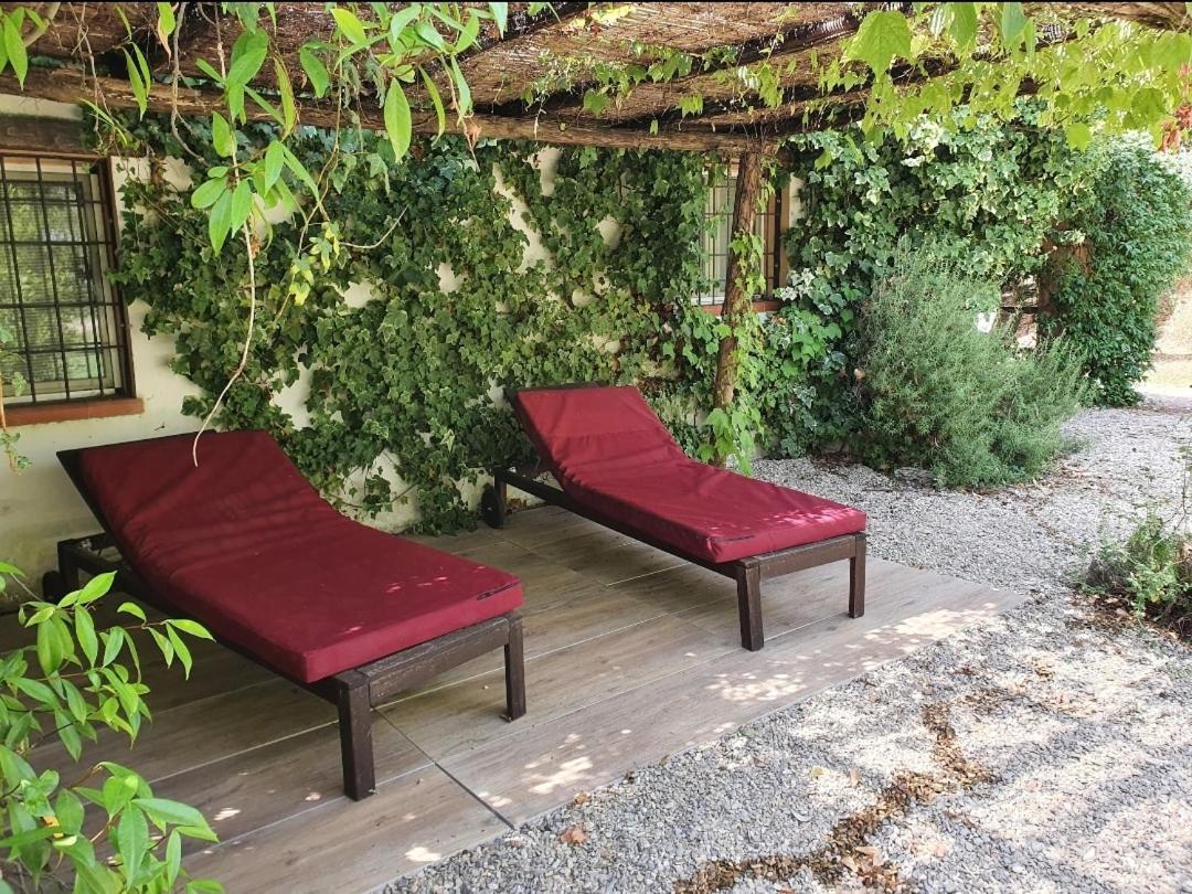 Il Piccolo Borgo Apartment Montalto di Castro Exterior photo